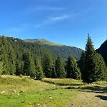 Almhuette Prem2 Chalet *