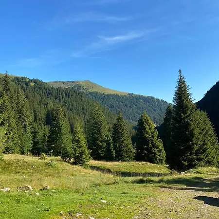 Almhuette Prem2 Chalet *