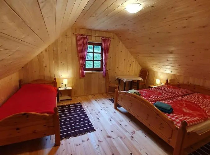 Almhuette Prem2
