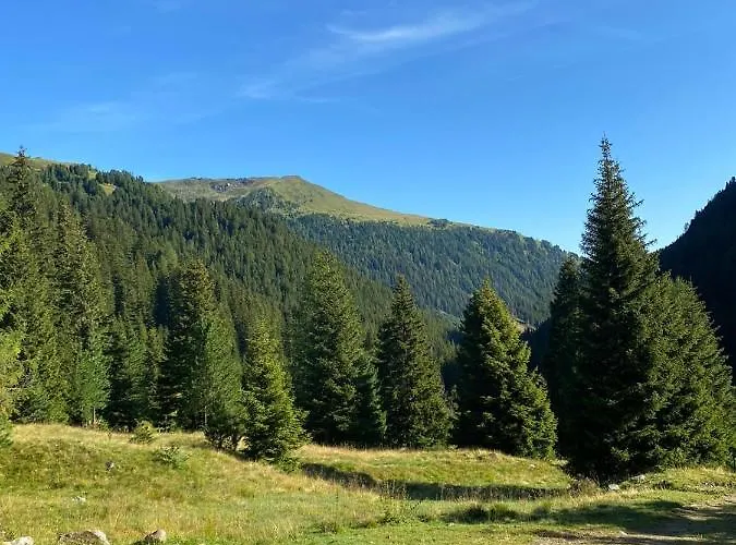 Almhuette Prem2 Chalet *