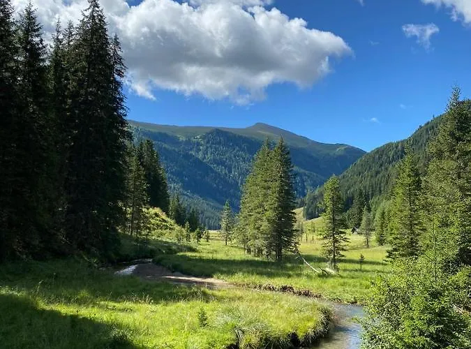 Almhuette Prem2 シャレー